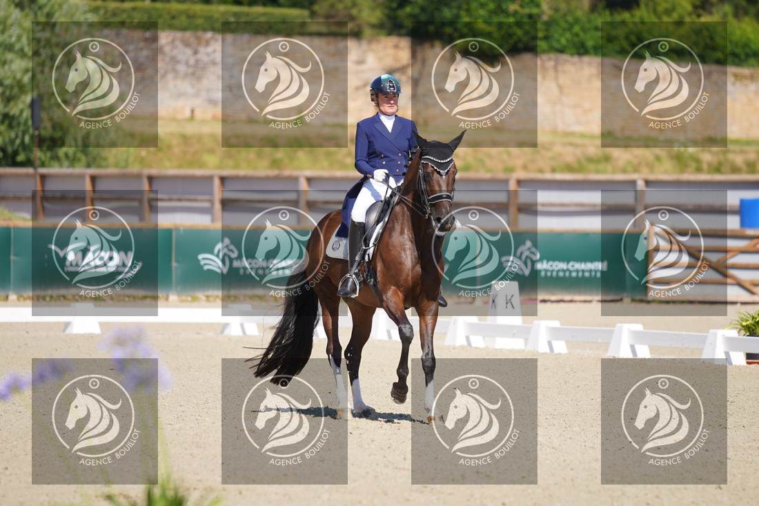 Aperçu Anne sophie SERRE · LIGHTNING STAR