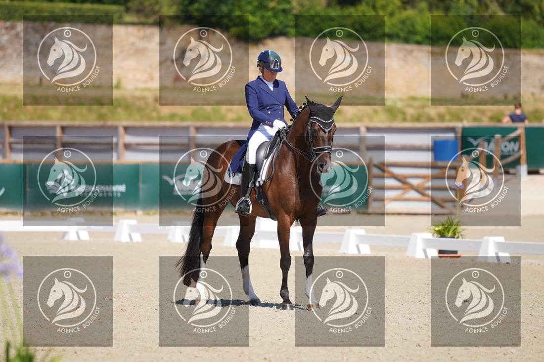Aperçu Anne sophie SERRE · LIGHTNING STAR