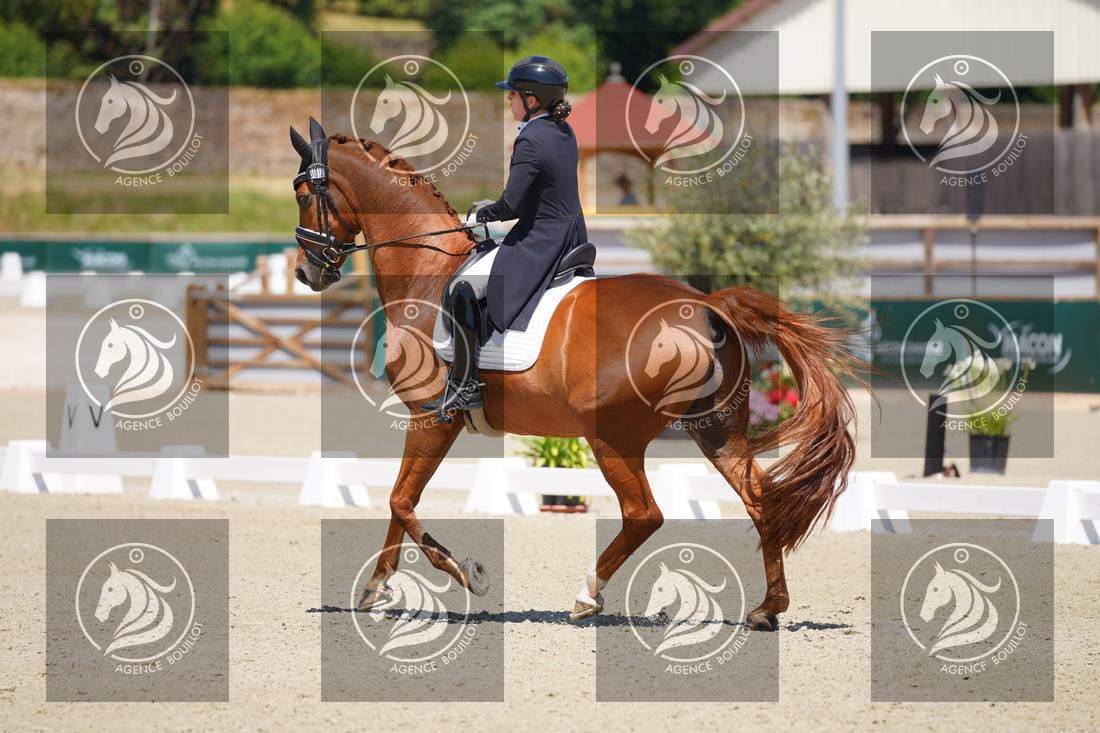 Aperçu Marie FOUCAUT CHAUVIERE · DOUBLE-O-SEVEN 3