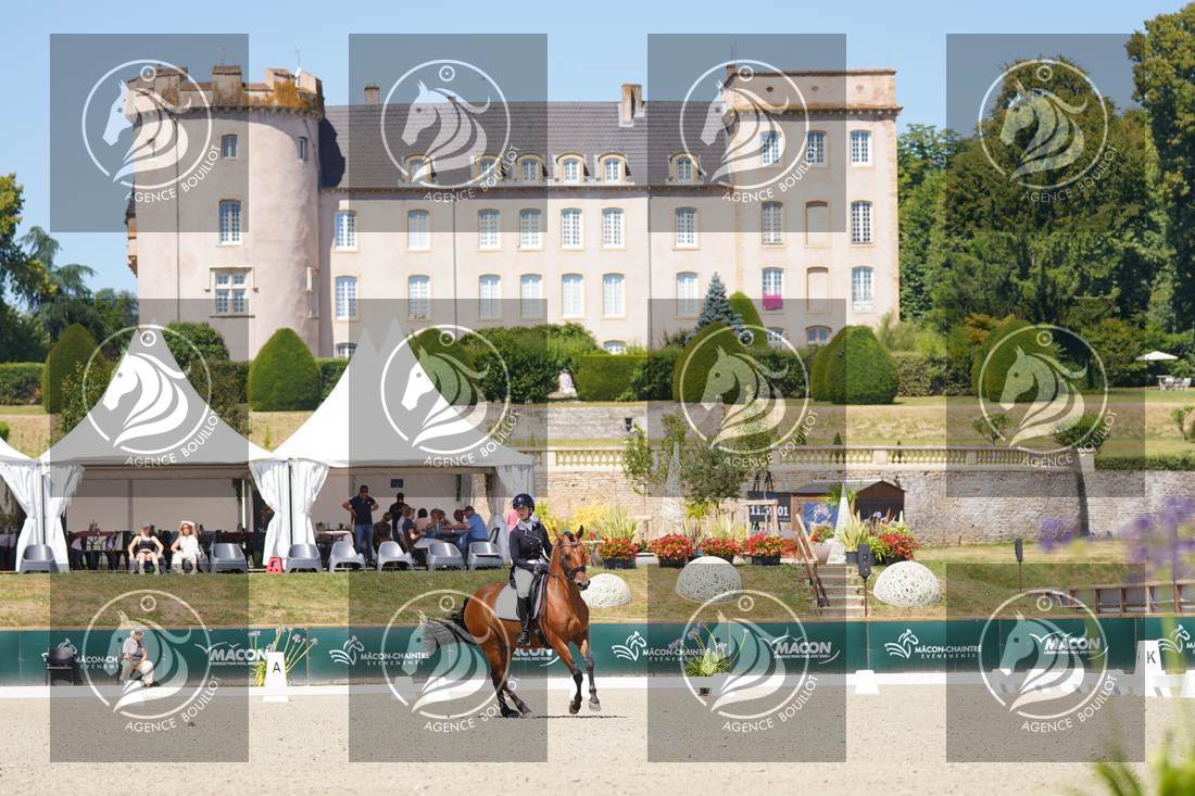 Aperçu Anne sabine COUSIN · NINO DE BLANDIN
