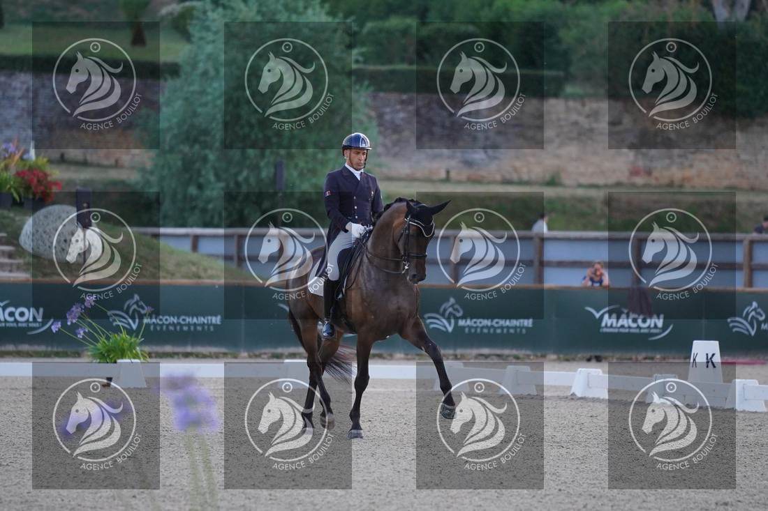 Aperçu Alexandre AYACHE · RULING OLIVIA
