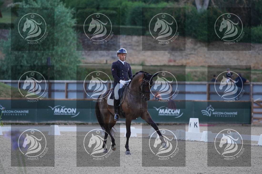 Aperçu Alexandre AYACHE · RULING OLIVIA