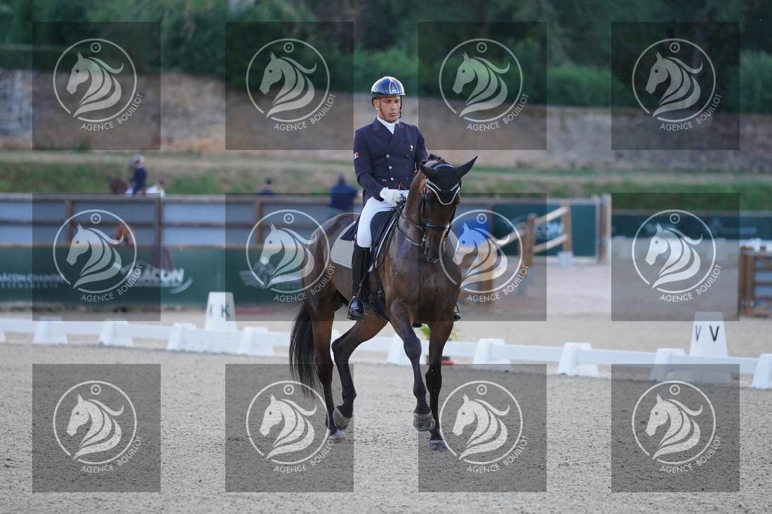Aperçu Alexandre AYACHE · RULING OLIVIA