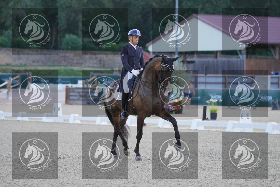 Aperçu Alexandre AYACHE · RULING OLIVIA