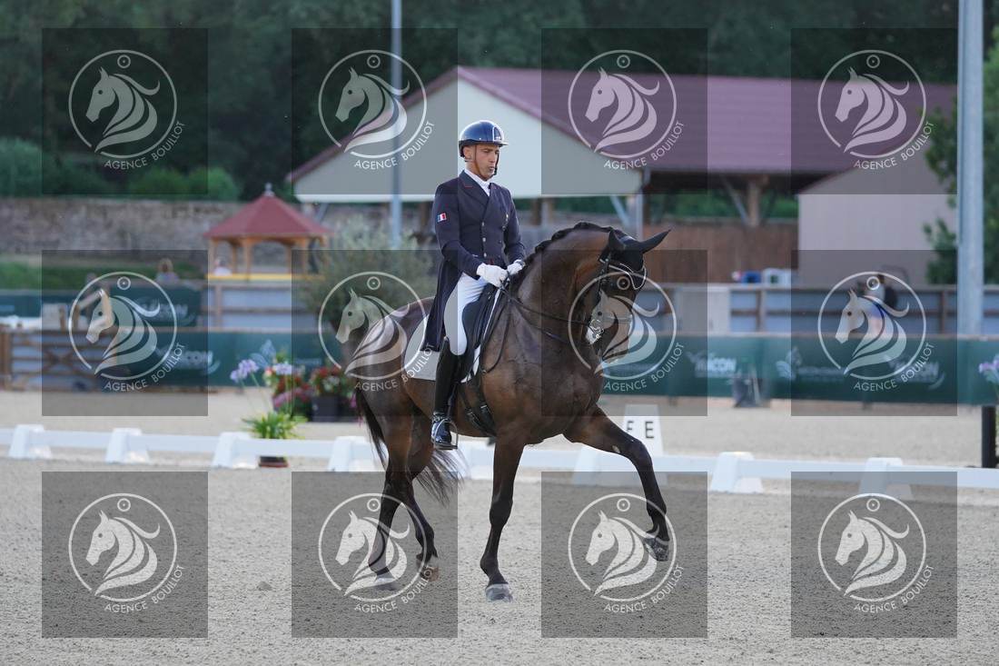 Aperçu Alexandre AYACHE · RULING OLIVIA