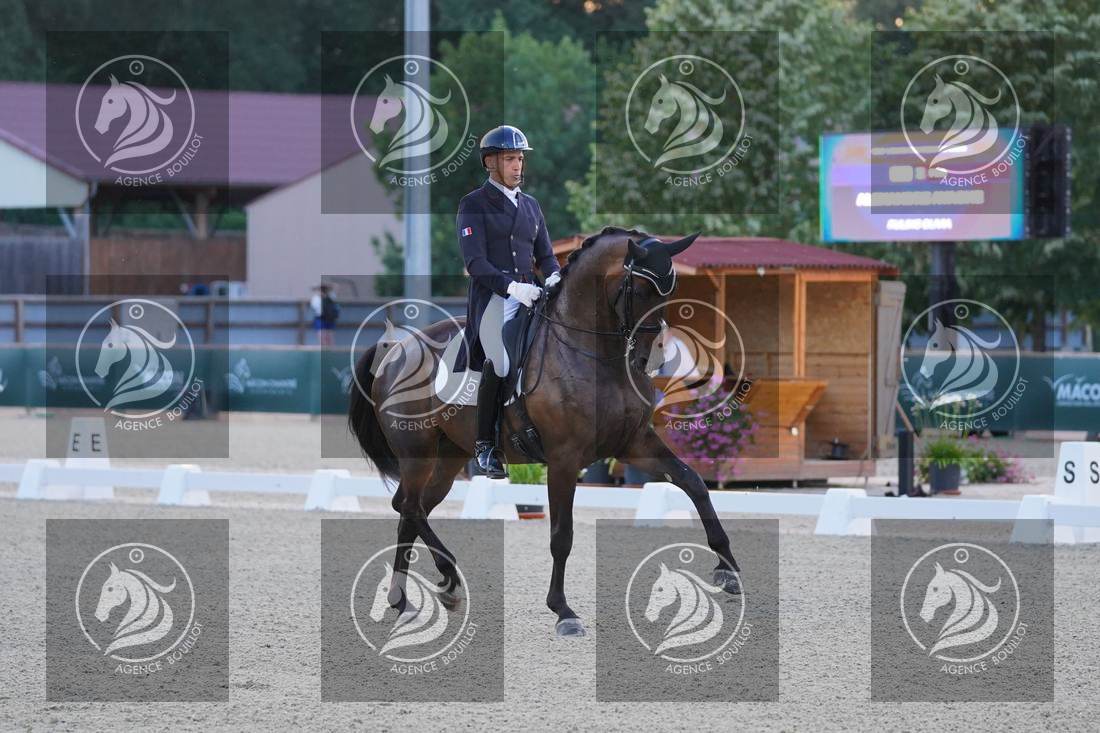 Aperçu Alexandre AYACHE · RULING OLIVIA