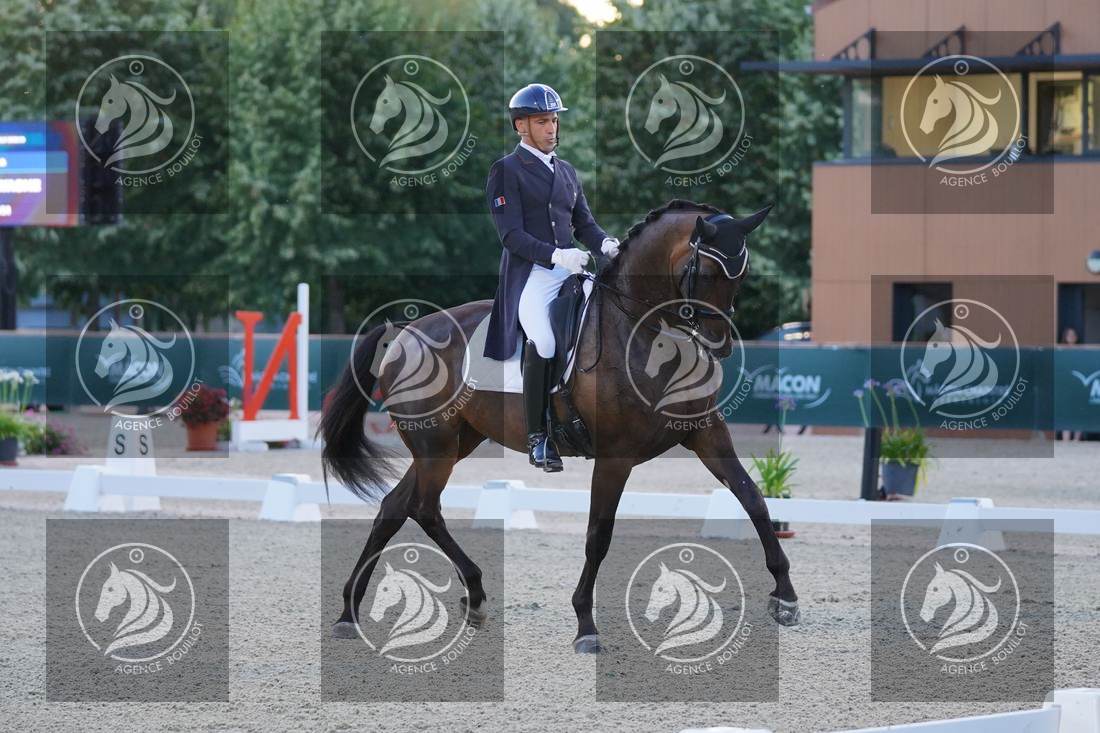 Aperçu Alexandre AYACHE · RULING OLIVIA