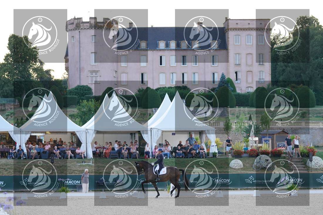 Aperçu Alexandre AYACHE · RULING OLIVIA