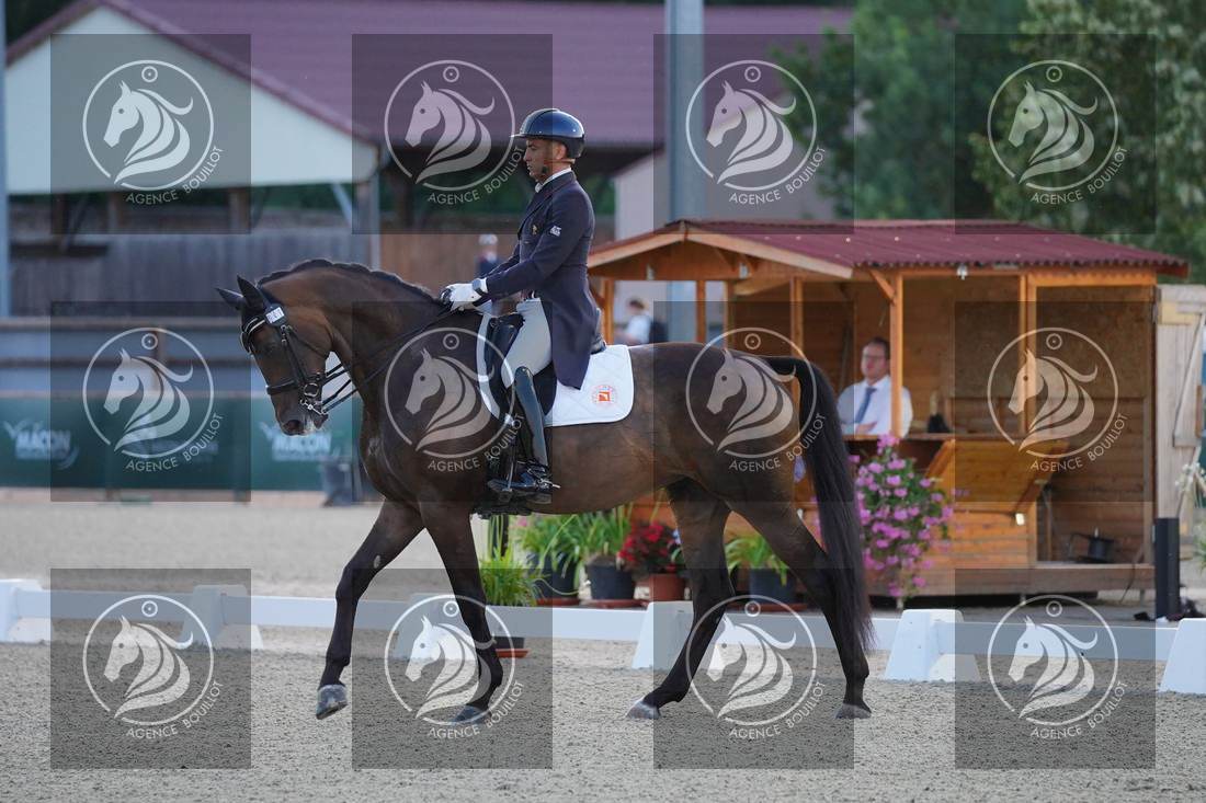 Aperçu Alexandre AYACHE · RULING OLIVIA