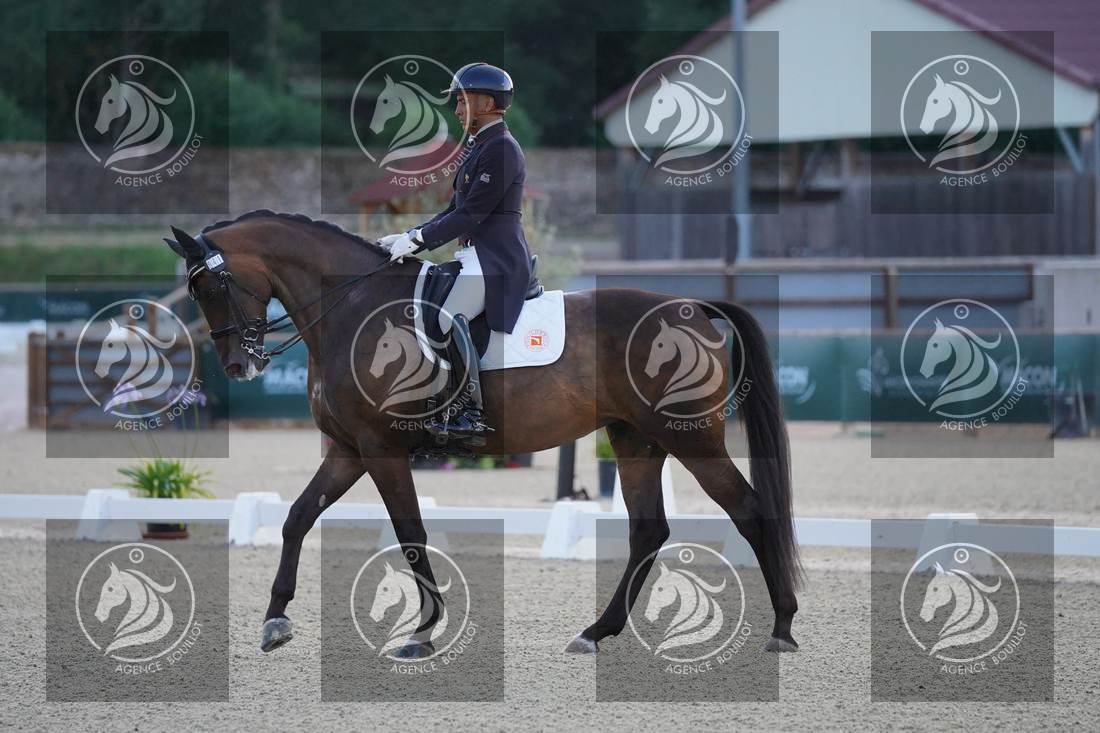 Aperçu Alexandre AYACHE · RULING OLIVIA
