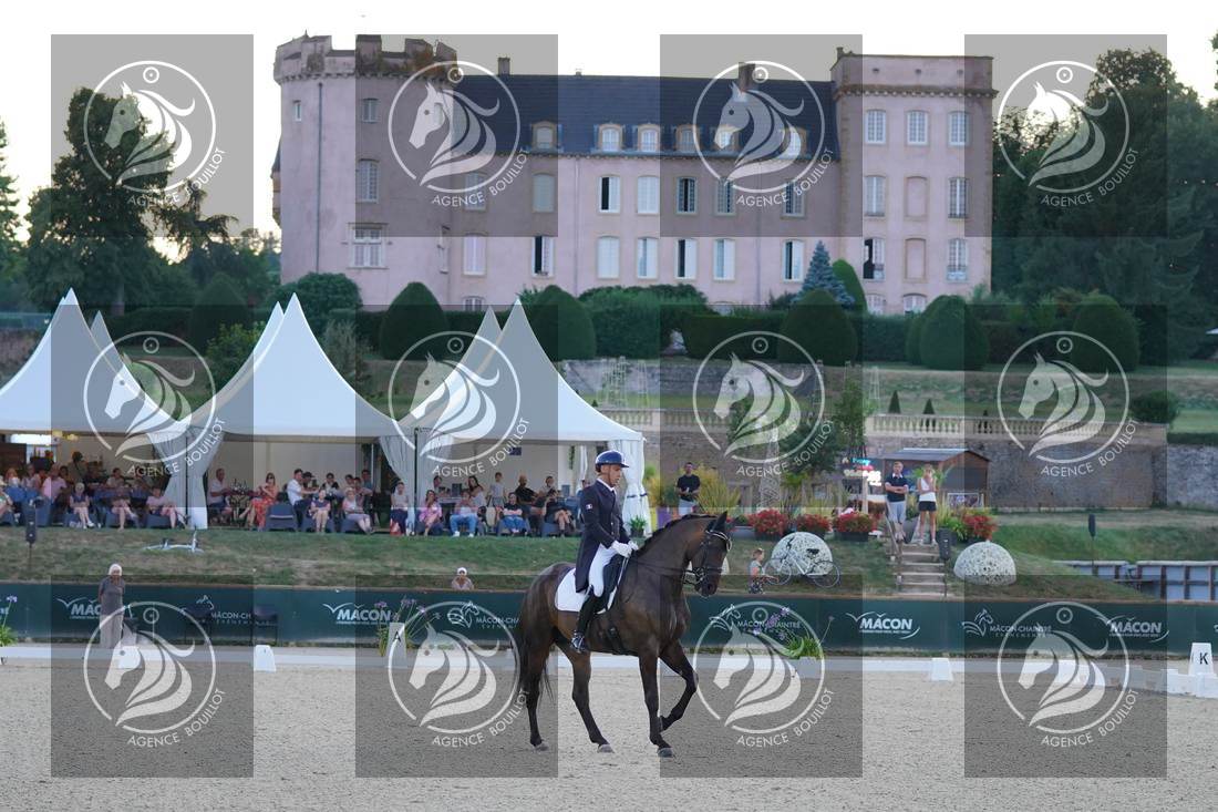 Aperçu Alexandre AYACHE · RULING OLIVIA