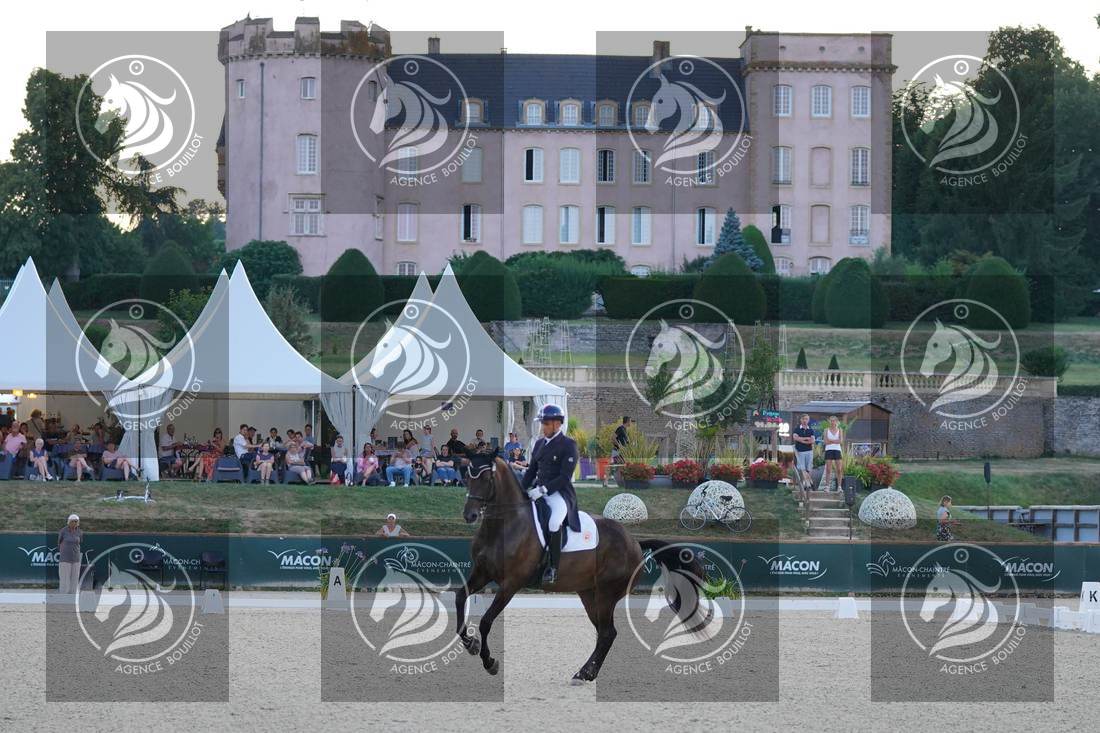Aperçu Alexandre AYACHE · RULING OLIVIA
