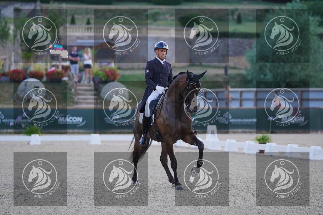 Aperçu Alexandre AYACHE · RULING OLIVIA