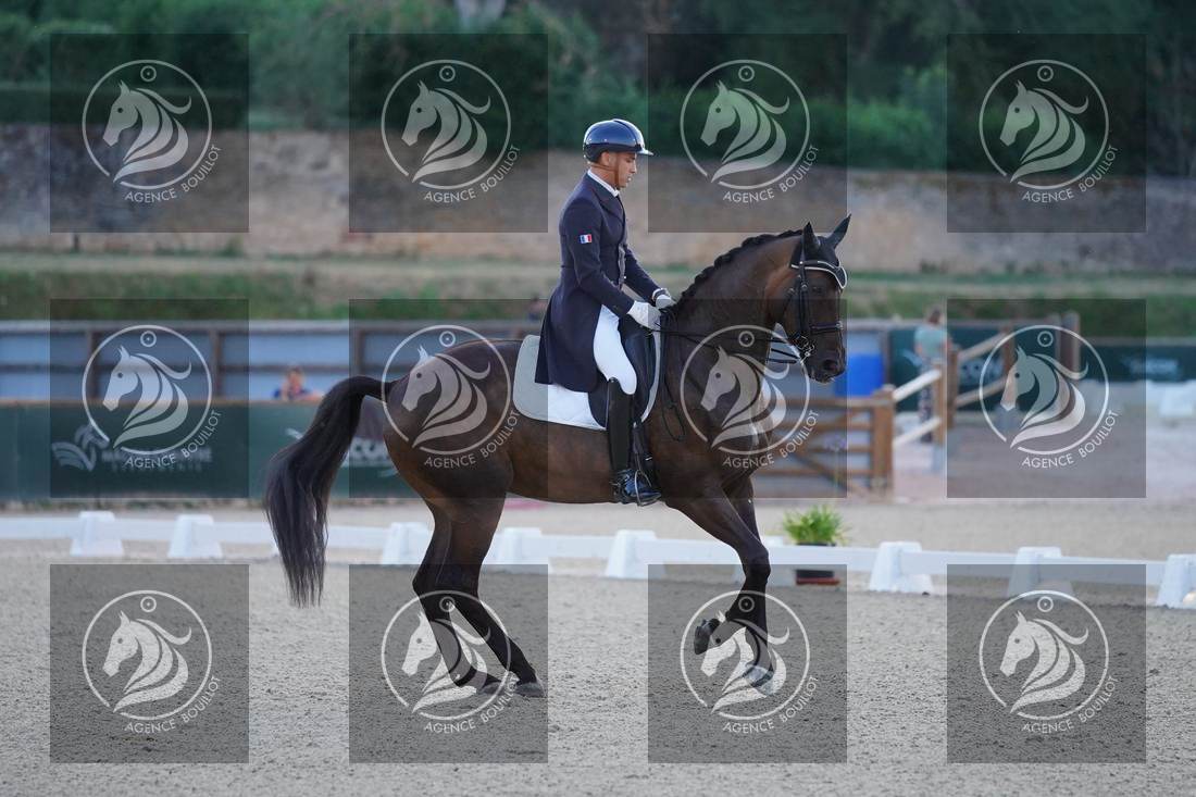 Aperçu Alexandre AYACHE · RULING OLIVIA