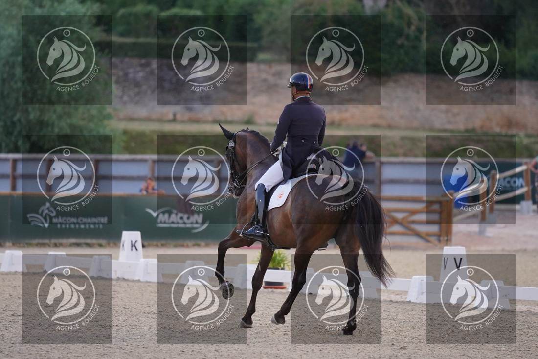 Aperçu Alexandre AYACHE · RULING OLIVIA