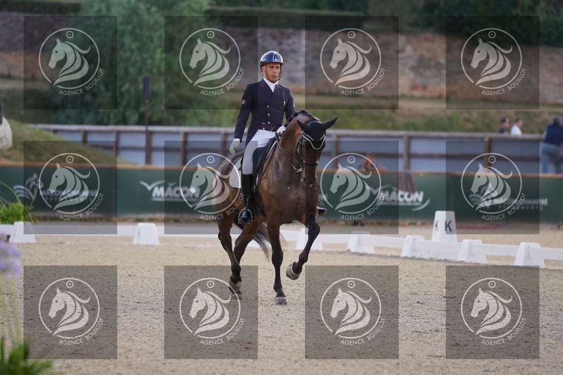 Aperçu Alexandre AYACHE · RULING OLIVIA