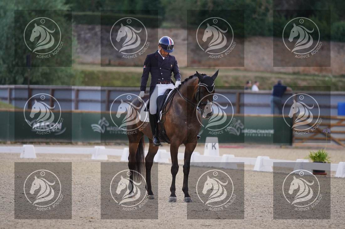Aperçu Alexandre AYACHE · RULING OLIVIA
