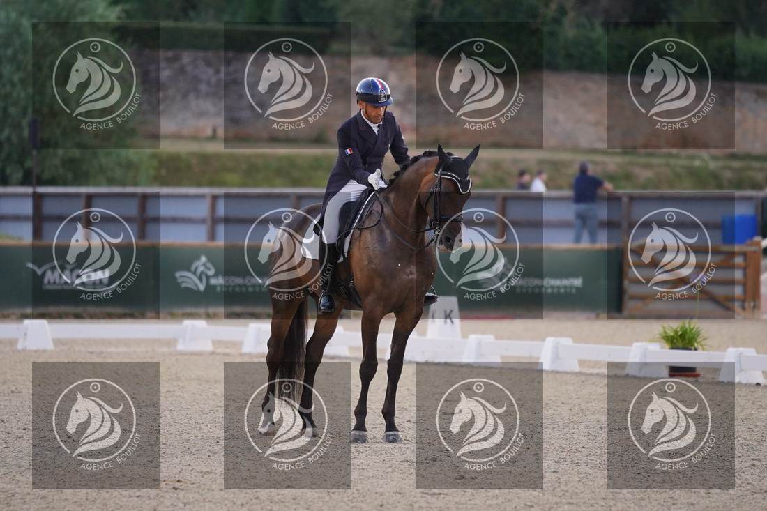 Aperçu Alexandre AYACHE · RULING OLIVIA