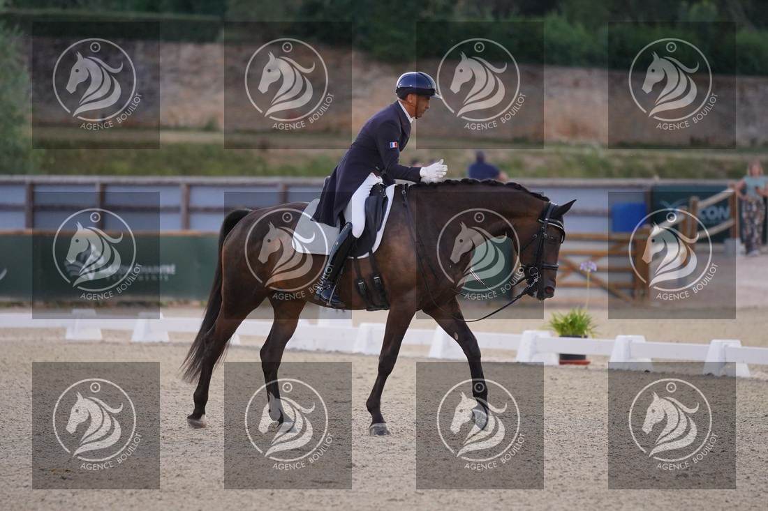 Aperçu Alexandre AYACHE · RULING OLIVIA