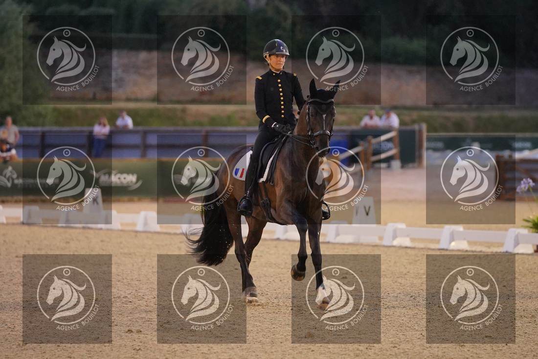 Aperçu Pauline BASQUIN · SERTORIUS DE RIMA Z IFCE