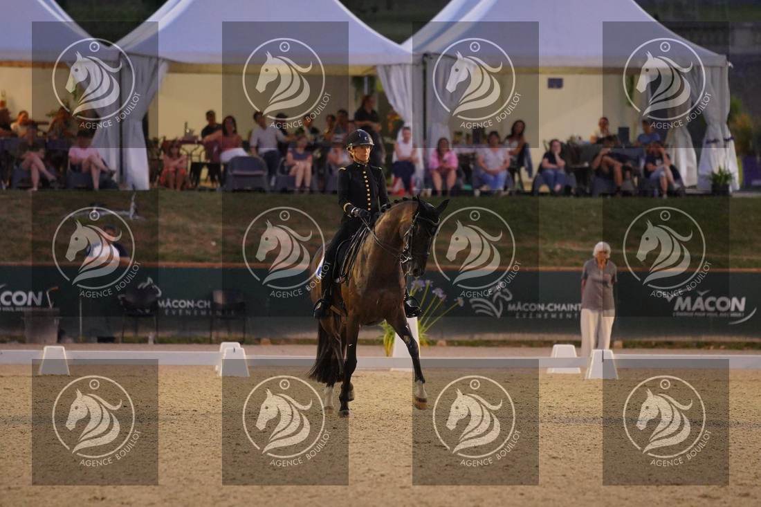 Aperçu Pauline BASQUIN · SERTORIUS DE RIMA Z IFCE