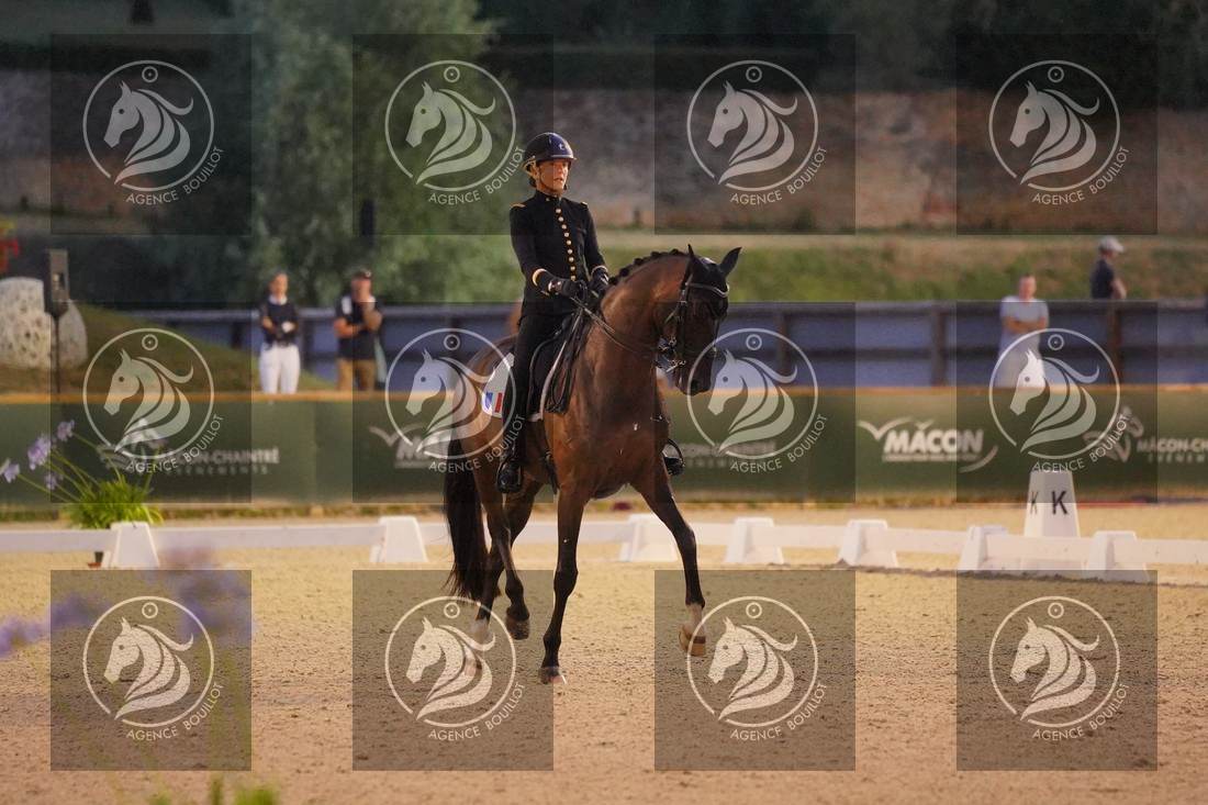 Aperçu Pauline BASQUIN · SERTORIUS DE RIMA Z IFCE