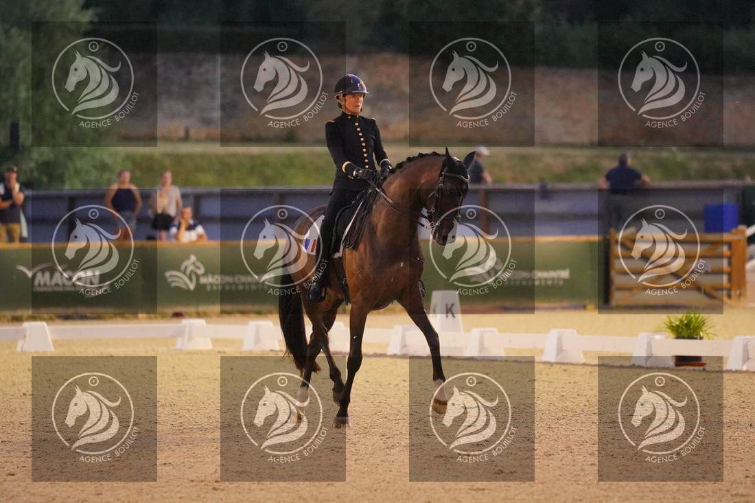 Aperçu Pauline BASQUIN · SERTORIUS DE RIMA Z IFCE