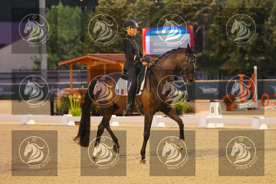 Aperçu Pauline BASQUIN · SERTORIUS DE RIMA Z IFCE