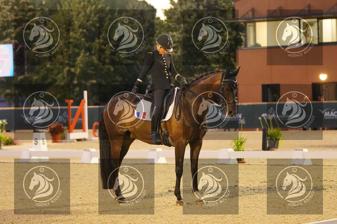 Aperçu Pauline BASQUIN · SERTORIUS DE RIMA Z IFCE