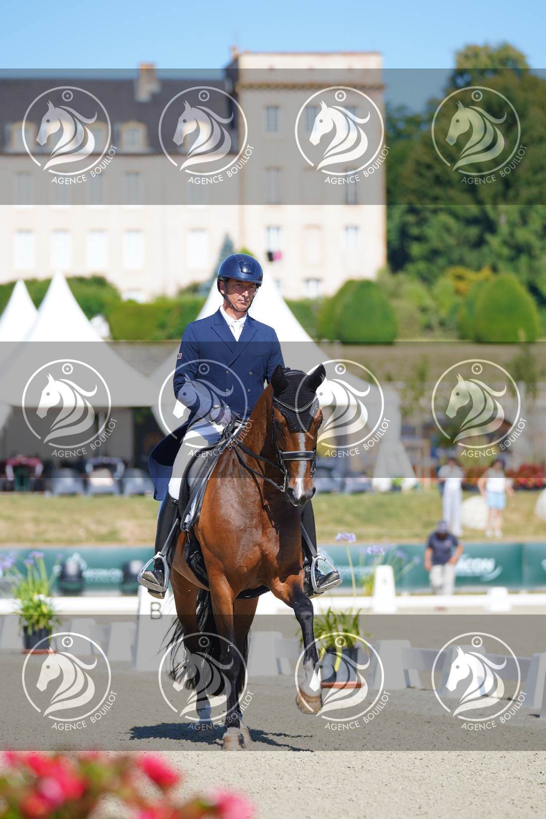 Aperçu Bertrand LIEGARD · GINGER