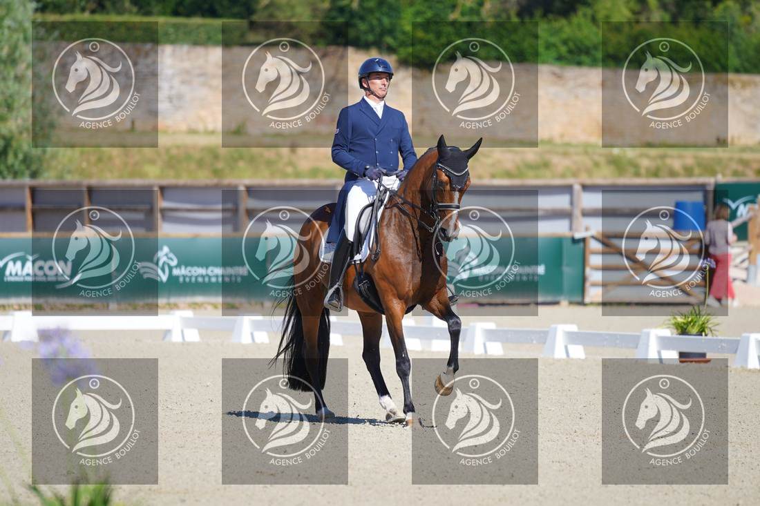 Aperçu Bertrand LIEGARD · GINGER