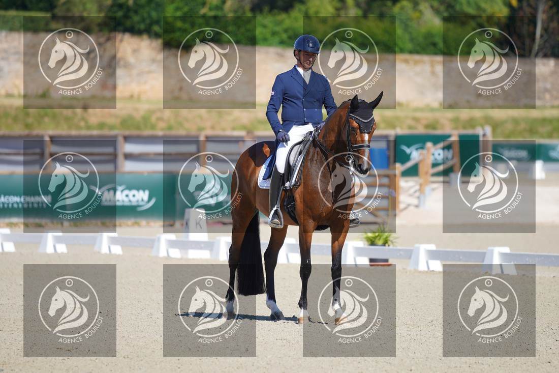 Aperçu Bertrand LIEGARD · GINGER
