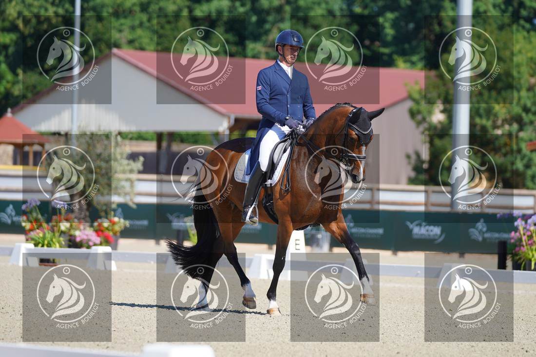 Aperçu Bertrand LIEGARD · GINGER