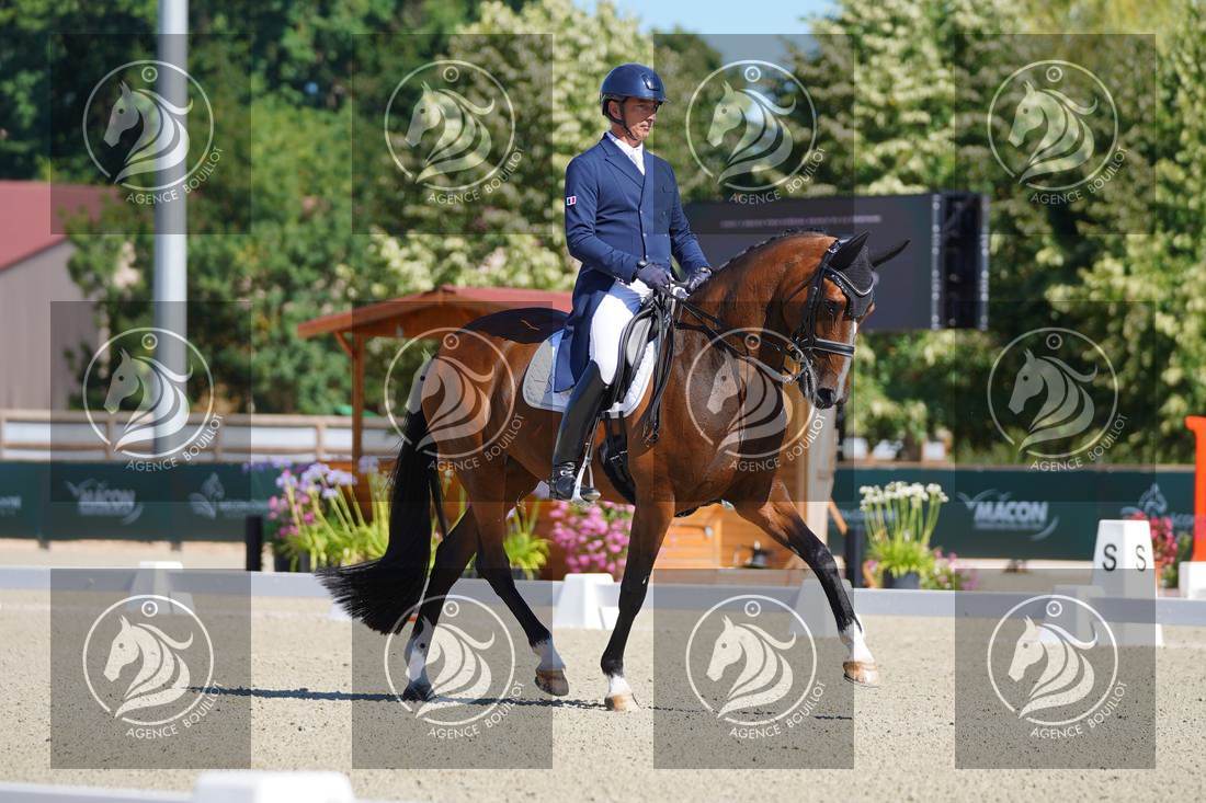 Aperçu Bertrand LIEGARD · GINGER