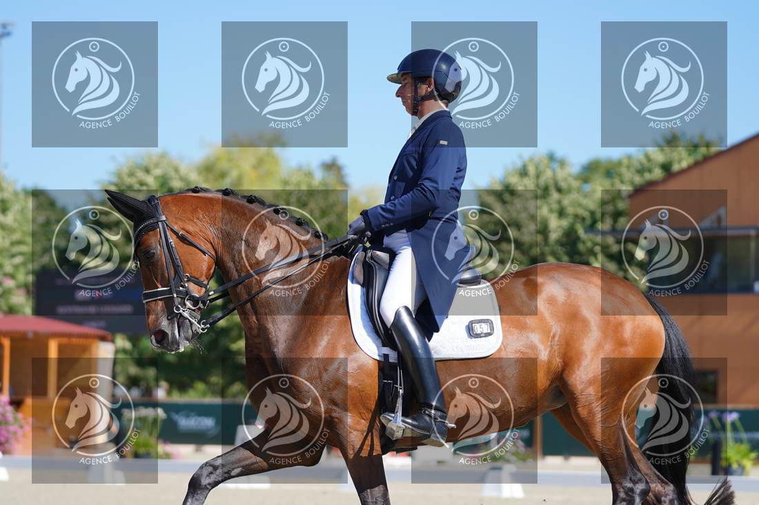 Aperçu Bertrand LIEGARD · GINGER