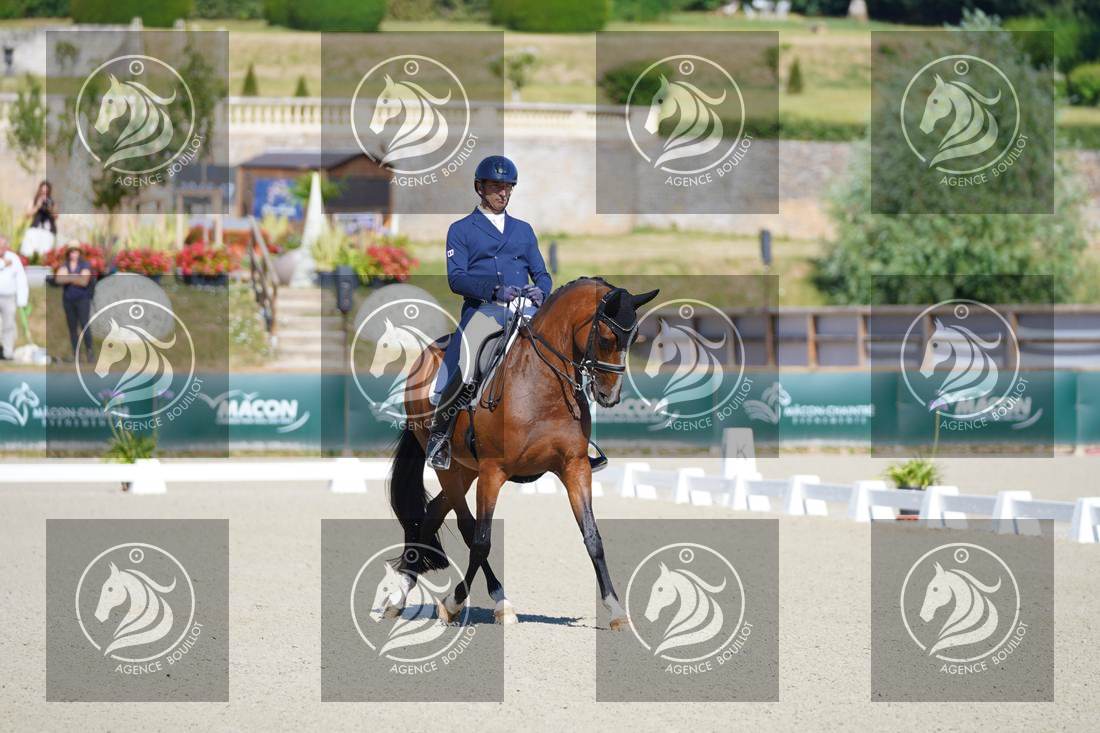 Aperçu Bertrand LIEGARD · GINGER