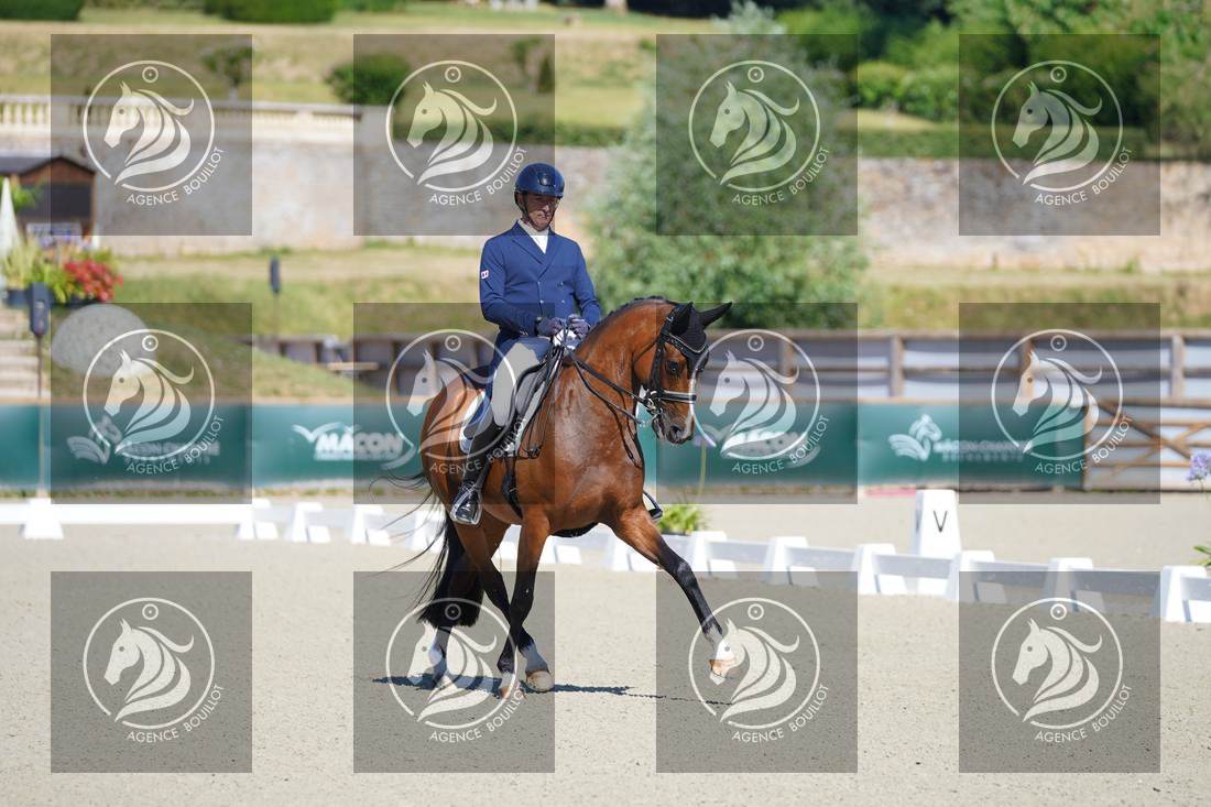 Aperçu Bertrand LIEGARD · GINGER
