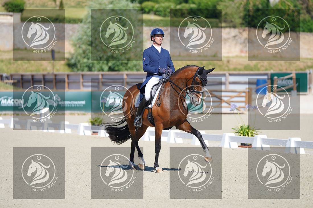 Aperçu Bertrand LIEGARD · GINGER