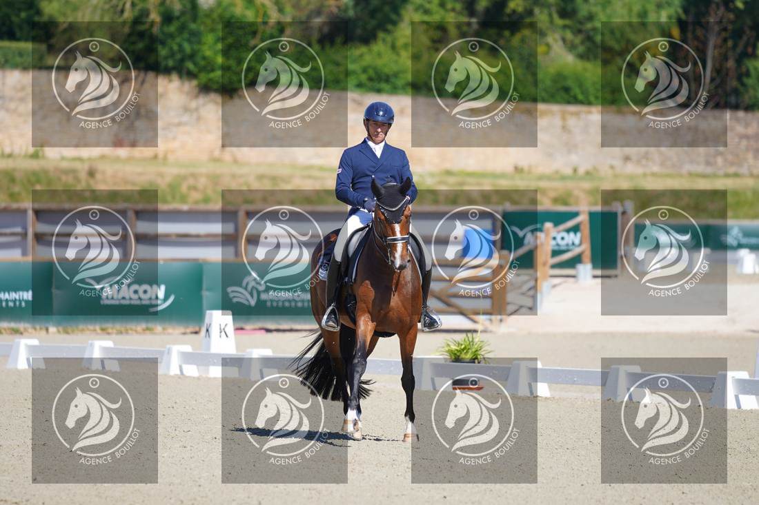 Aperçu Bertrand LIEGARD · GINGER