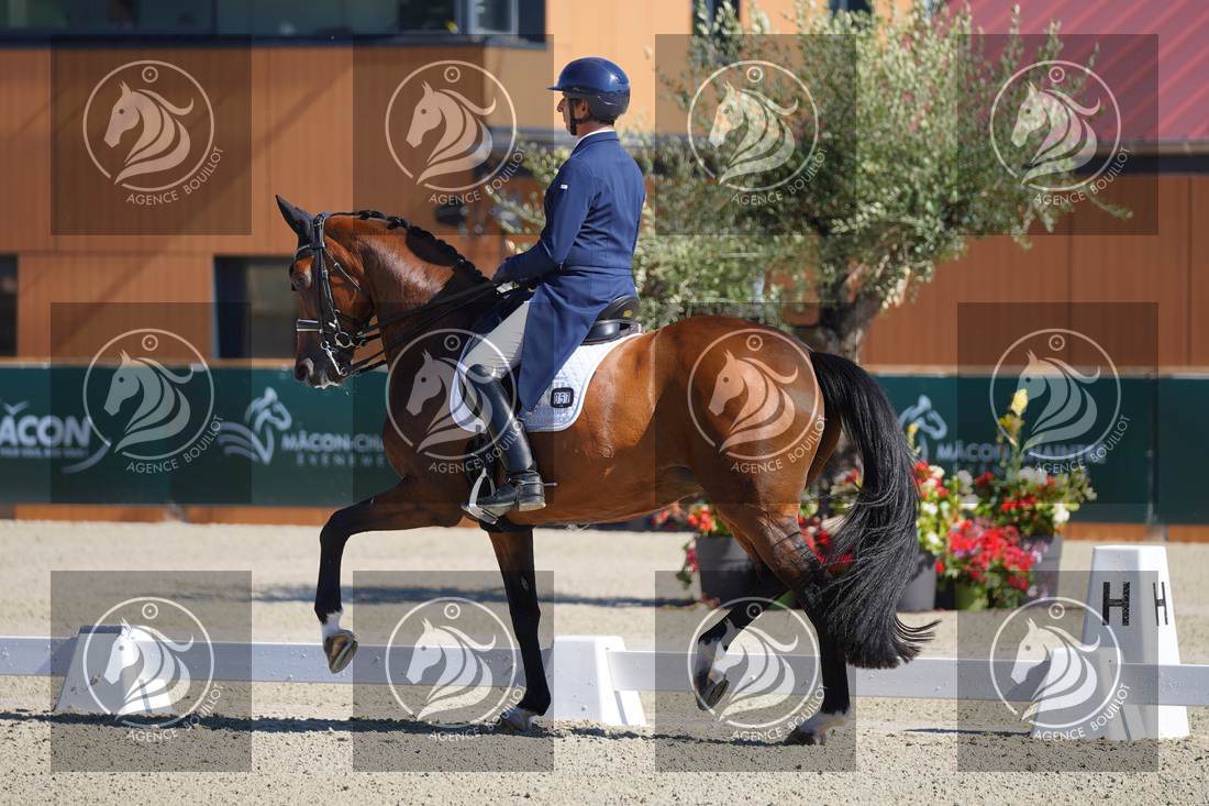 Aperçu Bertrand LIEGARD · GINGER