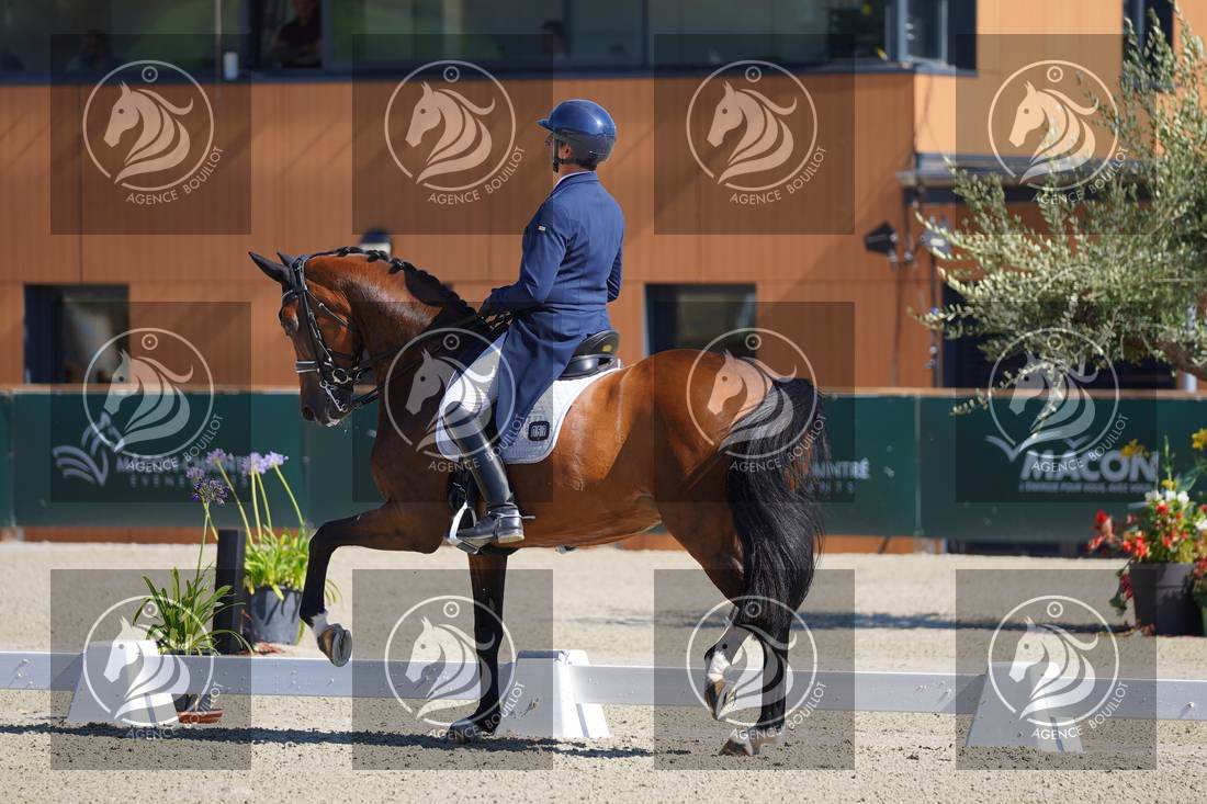 Aperçu Bertrand LIEGARD · GINGER