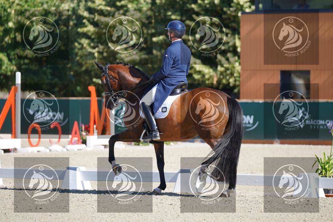 Aperçu Bertrand LIEGARD · GINGER