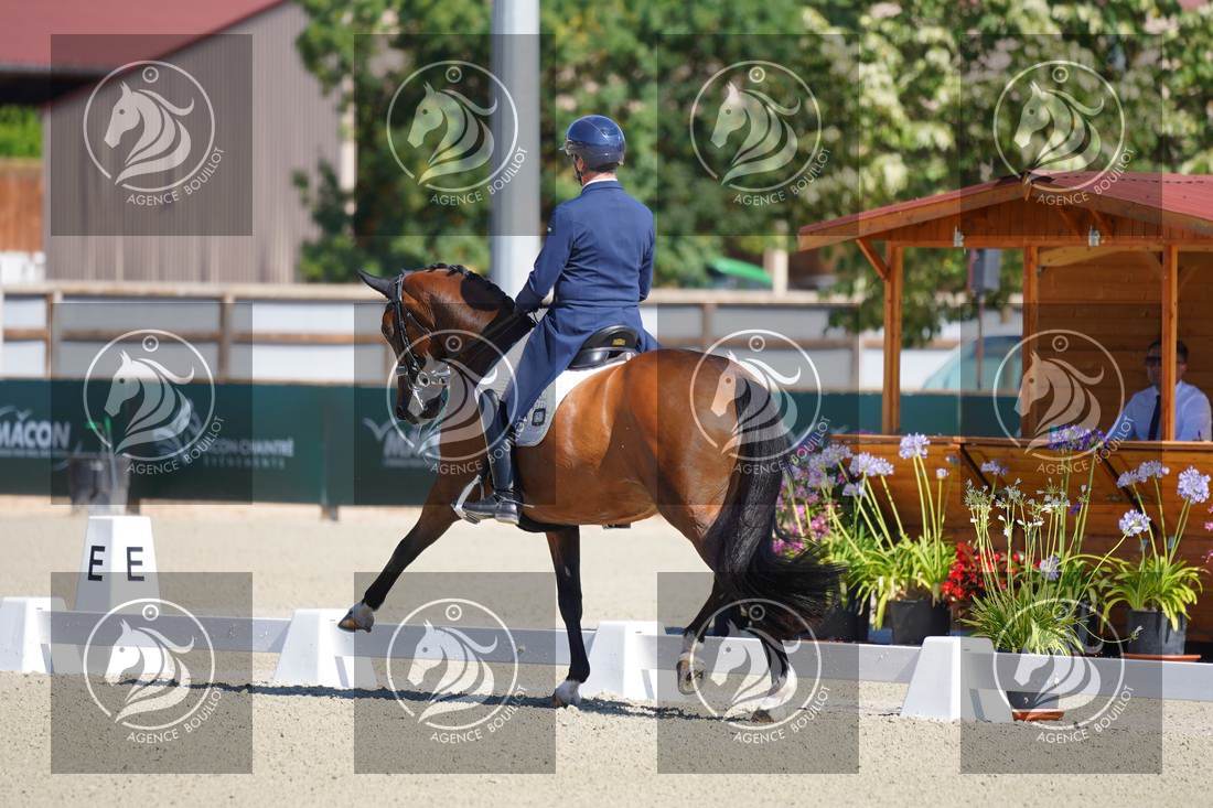 Aperçu Bertrand LIEGARD · GINGER