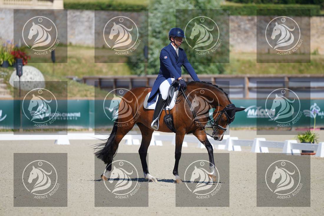 Aperçu Bertrand LIEGARD · GINGER