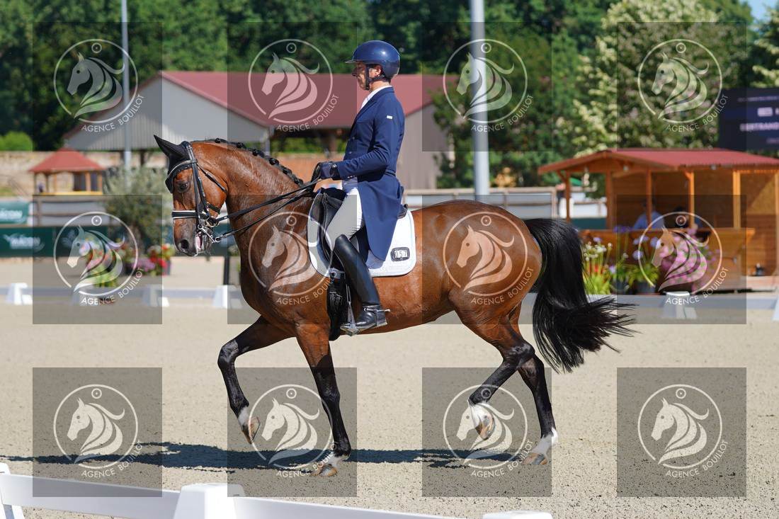 Aperçu Bertrand LIEGARD · GINGER