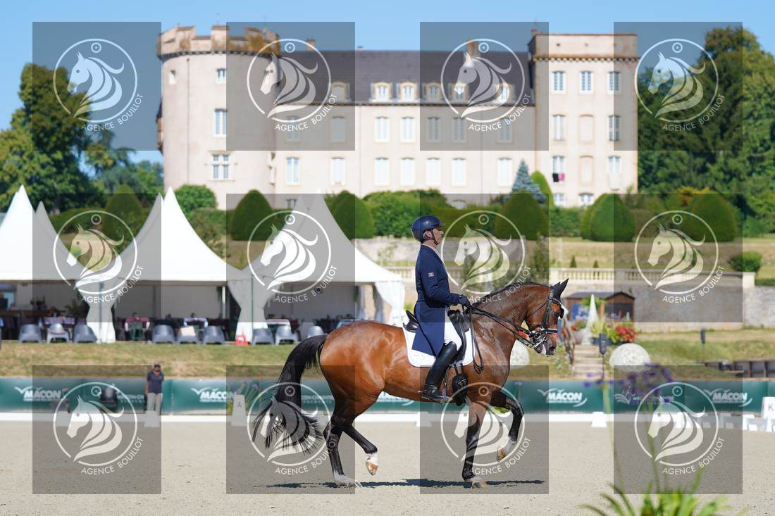 Aperçu Bertrand LIEGARD · GINGER