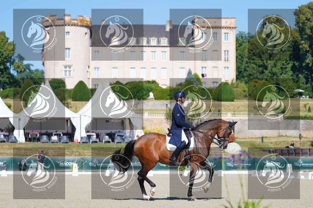 Aperçu Bertrand LIEGARD · GINGER