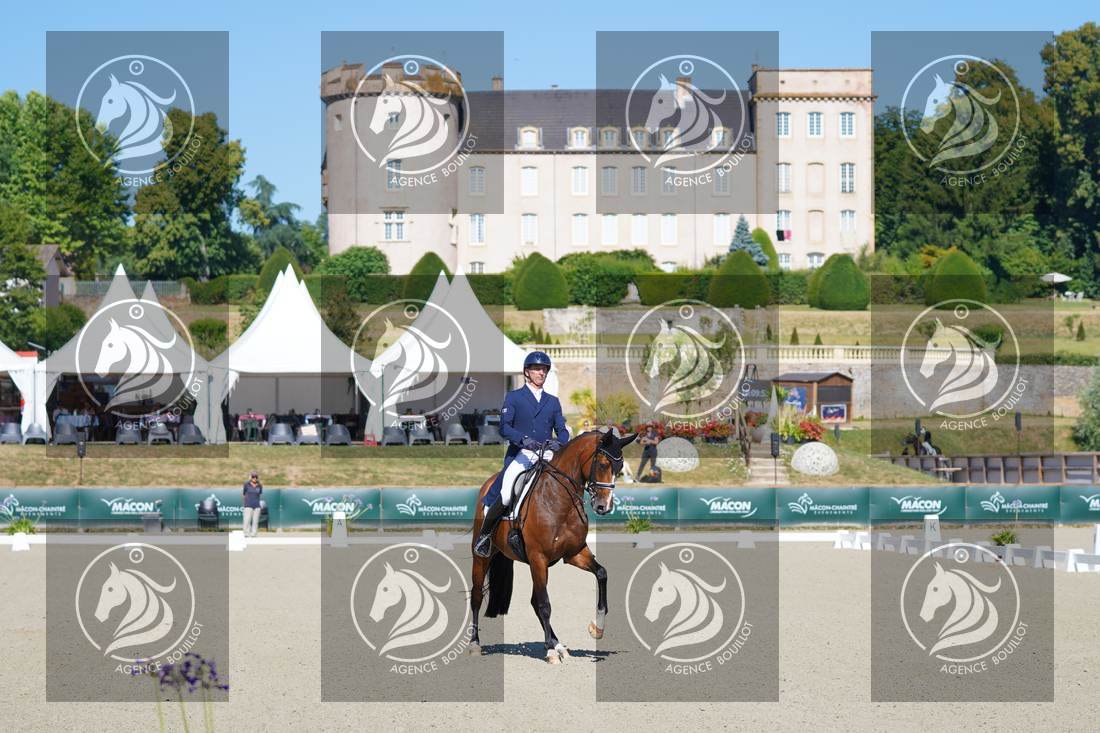 Aperçu Bertrand LIEGARD · GINGER
