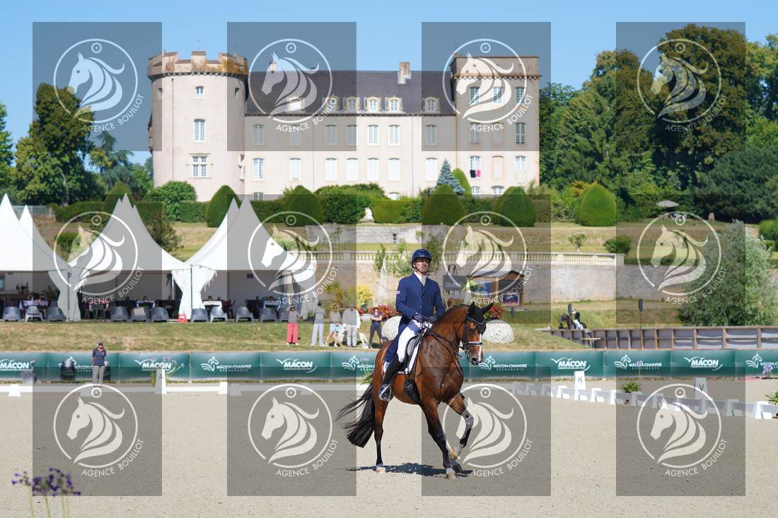 Aperçu Bertrand LIEGARD · GINGER