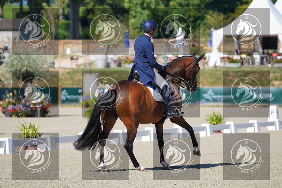 Aperçu Bertrand LIEGARD · GINGER